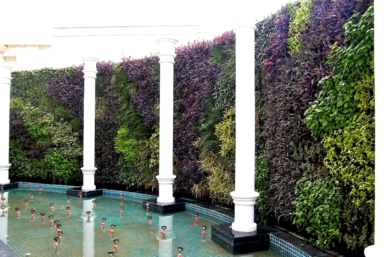 Sbl Farms Green walls and Living walls, Vertical Garden, Bio Curtains